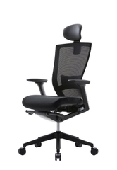 Ghế công thái học T50 All-time favorite