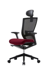 Ghế công thái học T50 All-time favorite