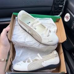 bb puma xám rêu