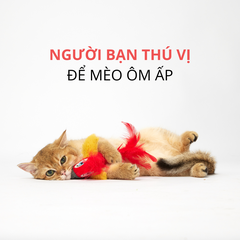 Đồ chơi chim vẹt có tiếng kêu kèm bóng catnip FOFOS
