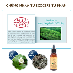 Xịt vệ sinh răng miệng cho chó Budle'Budle 120ml