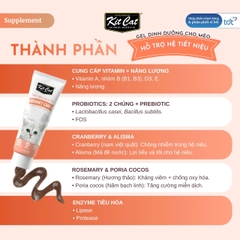 Gel dinh dưỡng Kit Cat hỗ trợ hệ tiết niệu cho mèo 120g
