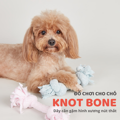 Đồ chơi dây thắt 2 đầu cho chó FOFOS