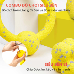 Đồ chơi vòng kéo co cho chó FOFOS