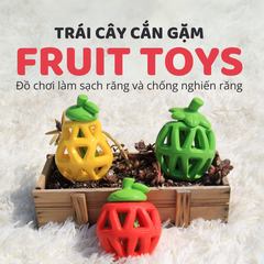 Đồ chơi cắn gặm đựng đồ ăn hình quả dâu FOFOS