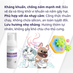 Sữa tắm chó mèo khô Ecopets 100ml