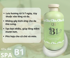 Sữa tắm B1 - Dt 500ml - Q8