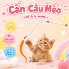 Cần câu mèo Cat Teaser
