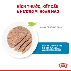 Pate cho chó Royal Canin Starter Mousse lon 195g