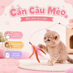 Cần câu mèo Cat Teaser