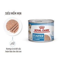 Pate cho chó Royal Canin Starter Mousse lon 195g