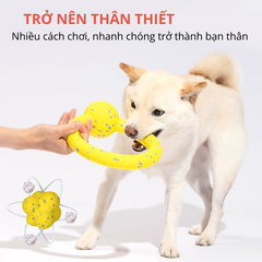 Đồ chơi vòng kéo co cho chó FOFOS