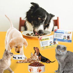 Chà bông Beta Amin Ecopets vị cá 10G