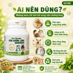 ECO DERMA ( VIÊN DƯỠNG LÔNG 200V)