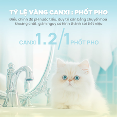 Thức ăn hạt cho mèo Churro C90U PetQ