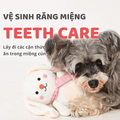 Đồ chơi thú bông cho chó hình con thỏ FOFOS