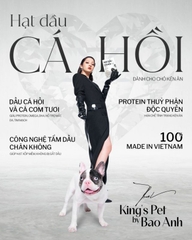 Hạt cho chó trưởng thành- hạt dầu cá hồi vị cá hồi đẹp da VCH King's Pet By Bao Anh 1.4kg