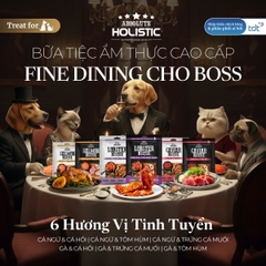 Súp thưởng Absolute Holistic Bisque Cá ngừ & tôm hùm 60g