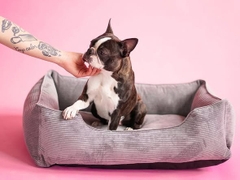 Nệm sọc cao cấp size L