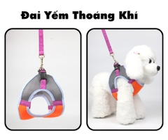 Đai yếm thoáng khí size 3