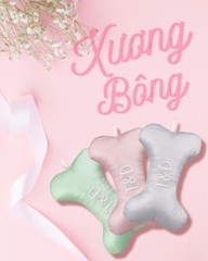 Xương bông T&D