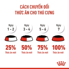 Pate cho chó Royal Canin Starter Mousse lon 195g