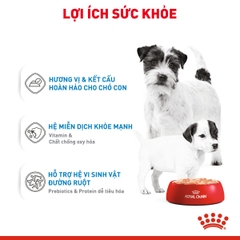 Pate cho chó Royal Canin Starter Mousse lon 195g