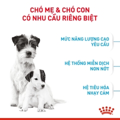 Thức ăn hạt cho chó Royal Canin - Mini Starter M&B 1kg
