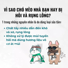 Sữa tắm cho chó Ecopets 250ml