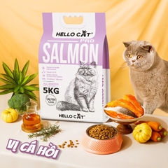 Thức ăn hạt Hello Cat dành cho mèo mọi lứa tuổi - Vị Cá Hồi
