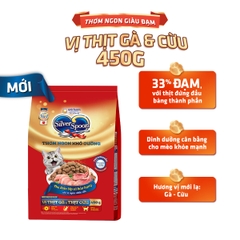 Thức ăn hạt cho mèo mọi lứa tuổi SilverSpoon vị Gà & Cừu 1kg