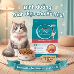 Hạt Cho Mèo Trưởng Thành Purina One Healthy Adult Cá Hồi & Cá Ngừ 380g