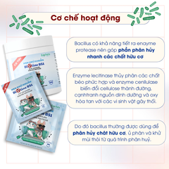 Men khử khuẩn Ecopets Bioline BS1 600gr