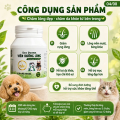 ECO DERMA ( VIÊN DƯỠNG LÔNG 200V)