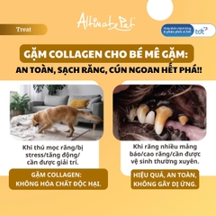 Gặm sạch răng Collagen - Khúc xương vị Cá Hồi Cá 90g