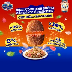 Thức ăn hạt cho mèo giảm nôn trớ SilverSpoon vị Cá Ngừ 800g