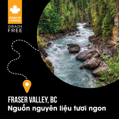 NT Subzero cho Chó - Gà tây, cá hồi, cá trích, cá tuyết và rau củ quả tự nhiên (Cho mọi giống chó ở mọi lứa tuổi)
