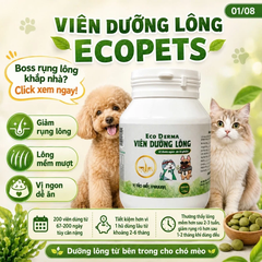 ECO DERMA ( VIÊN DƯỠNG LÔNG 200V)