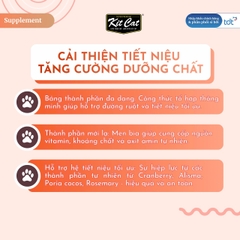 Gel dinh dưỡng Kit Cat hỗ trợ hệ tiết niệu cho mèo 120g
