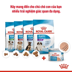Pate cho chó Royal Canin Starter Mousse lon 195g
