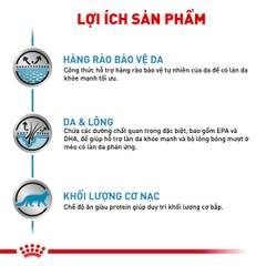 Thức ăn hạt cho mèo Royal Canin - Skin & Coat Feline 400g