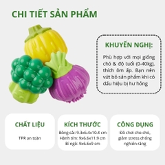 Đồ chơi cắn gặm cho chó hình bí đỏ FOFOS