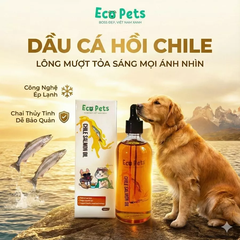 Dầu cá hồi Chile 100ml