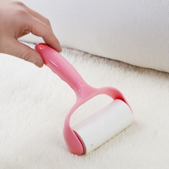 Cây lăn lông chó mèo