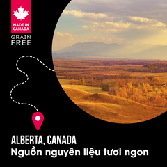 NT Subzero cho Chó (Hạt nhỏ) - Thịt bò, thịt cừu, lợn rừng, cá hồi, cá tuyết và rau củ quả tự nhiên (Cho mọi giống chó ở mọi lứa tuổi)