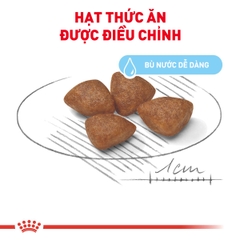 Thức ăn hạt cho chó Royal Canin - Mini Starter M&B 1kg