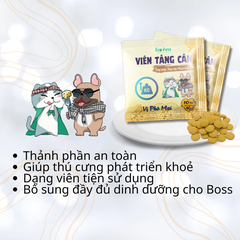 Viên tăng cân Ecopets vị phô mai 5g (10 viên)