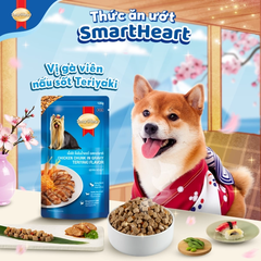 Pate cho chó SmartHeart SPECIAL POUCH gói 120g