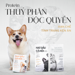 Hạt cho chó trưởng thành- hạt dầu cá hồi vị bò bít tết VBBT King's Pet By Bao Anh 350g