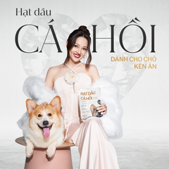 Hạt cho chó trưởng thành- hạt dầu cá hồi vị cá hồi đẹp da VCH King's Pet By Bao Anh 350g